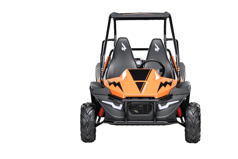 Hammerhead™ Mudhead 208R SE - Kids Off Road Buggy - Orange - £1999 Pre Order Now