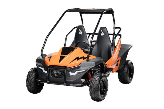 Hammerhead™ Mudhead 208R SE - Kids Off Road Buggy - Orange - £1999 Pre Order Now