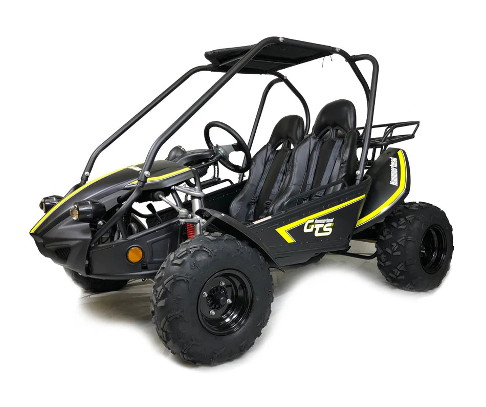 Hammerhead™ GTS150 Buggy - Black - £2999