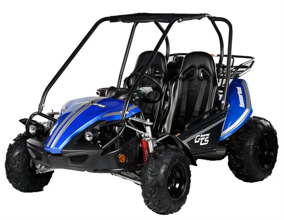 Hammerhead™ GTS150 Buggy - Blue - £2999